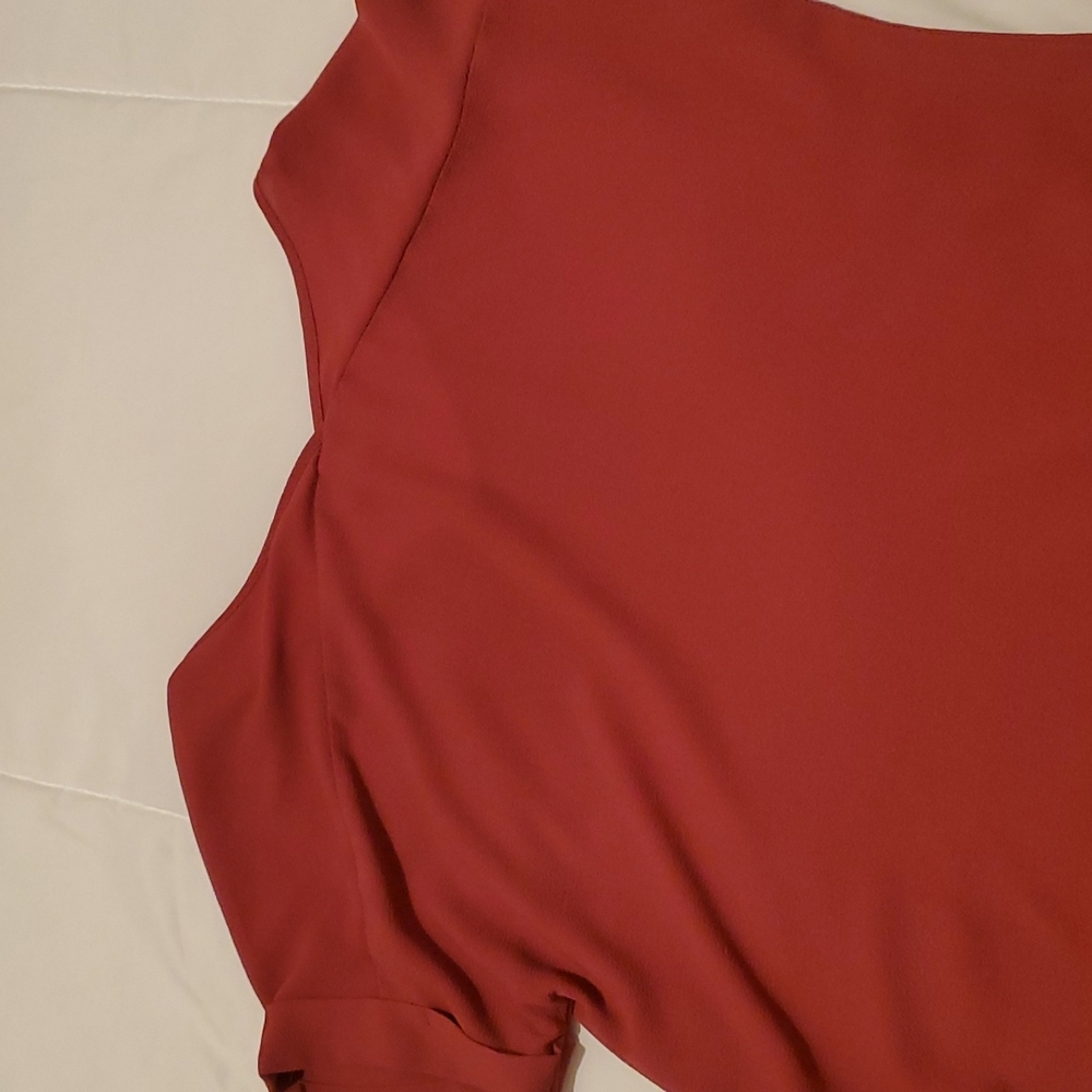 Sheer Blouse - Picture 3 of 4